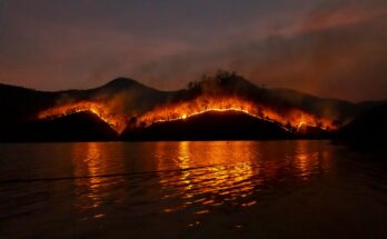 debroussailler contre les incendies