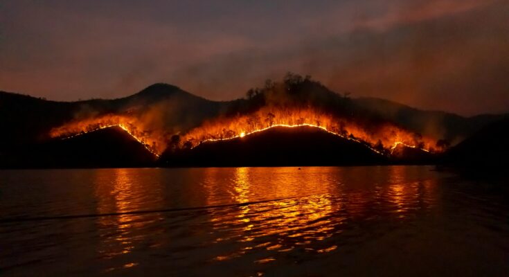 debroussailler contre les incendies