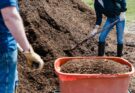 Paillis végétal : une réponse simple, locale et durable pour les jardins de demain !