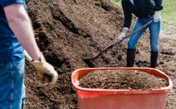 le paillis vegetal un geste responsable et une solution simple