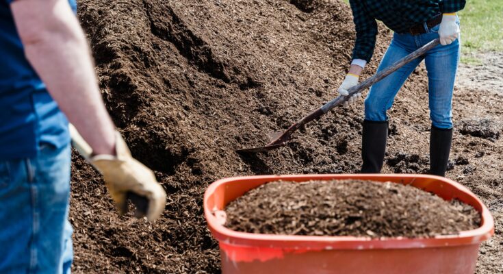le paillis vegetal un geste responsable et une solution simple