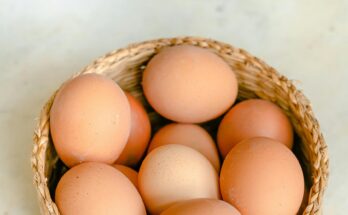 les cgp diversifient leurs offres et produits