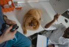 Agria : l&rsquo;expertise scandinave au service du bien-être animal